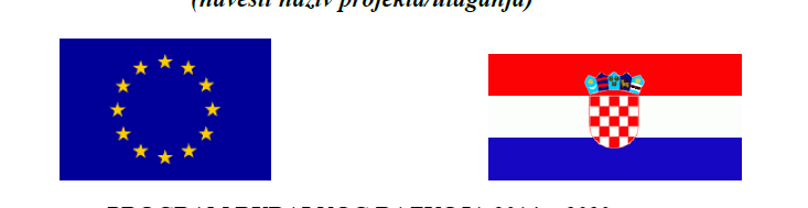 A red white and blue flag
Description automatically generated